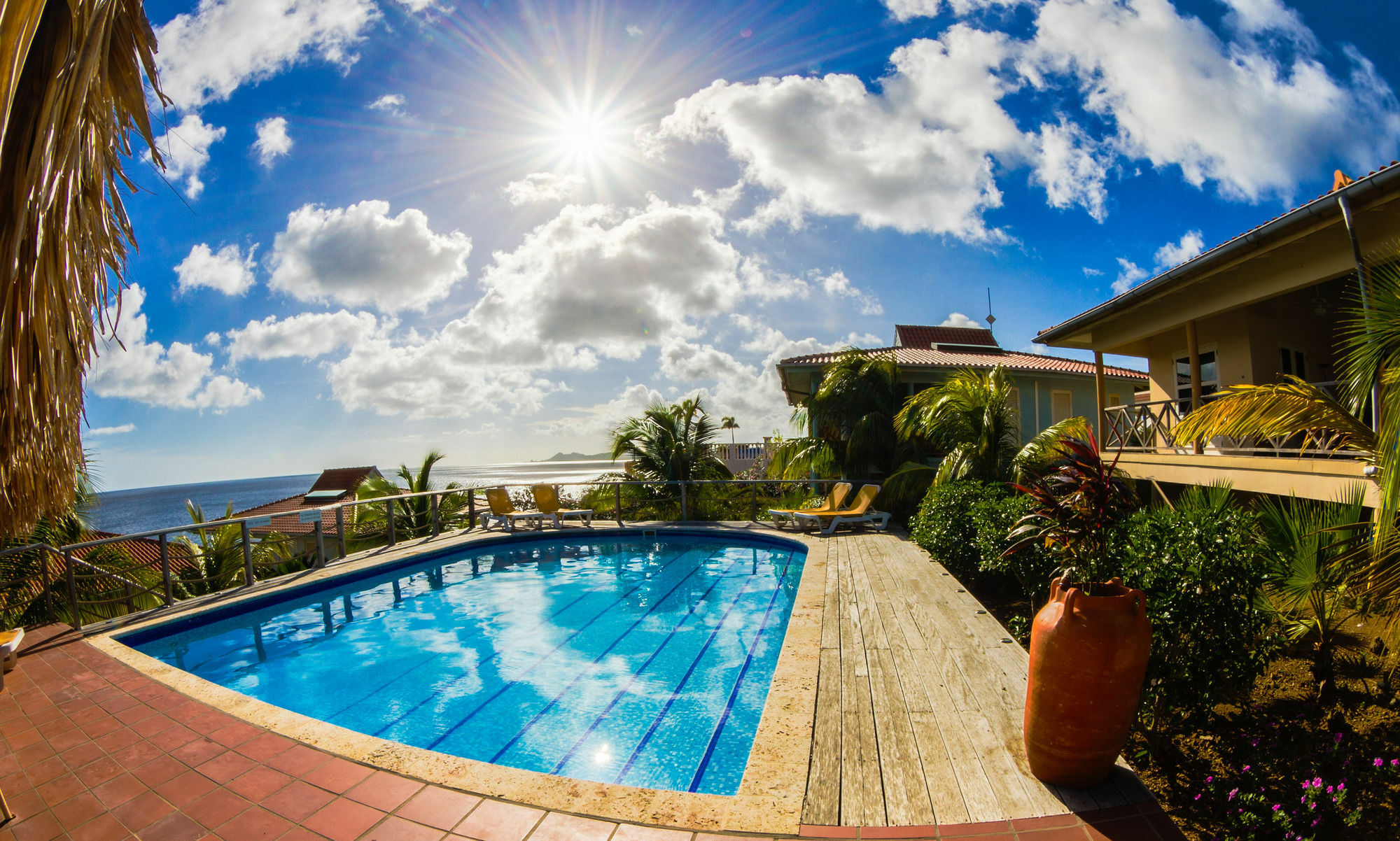 Caribbean Club Bonaire Lejlighedshotel Eksteriør billede