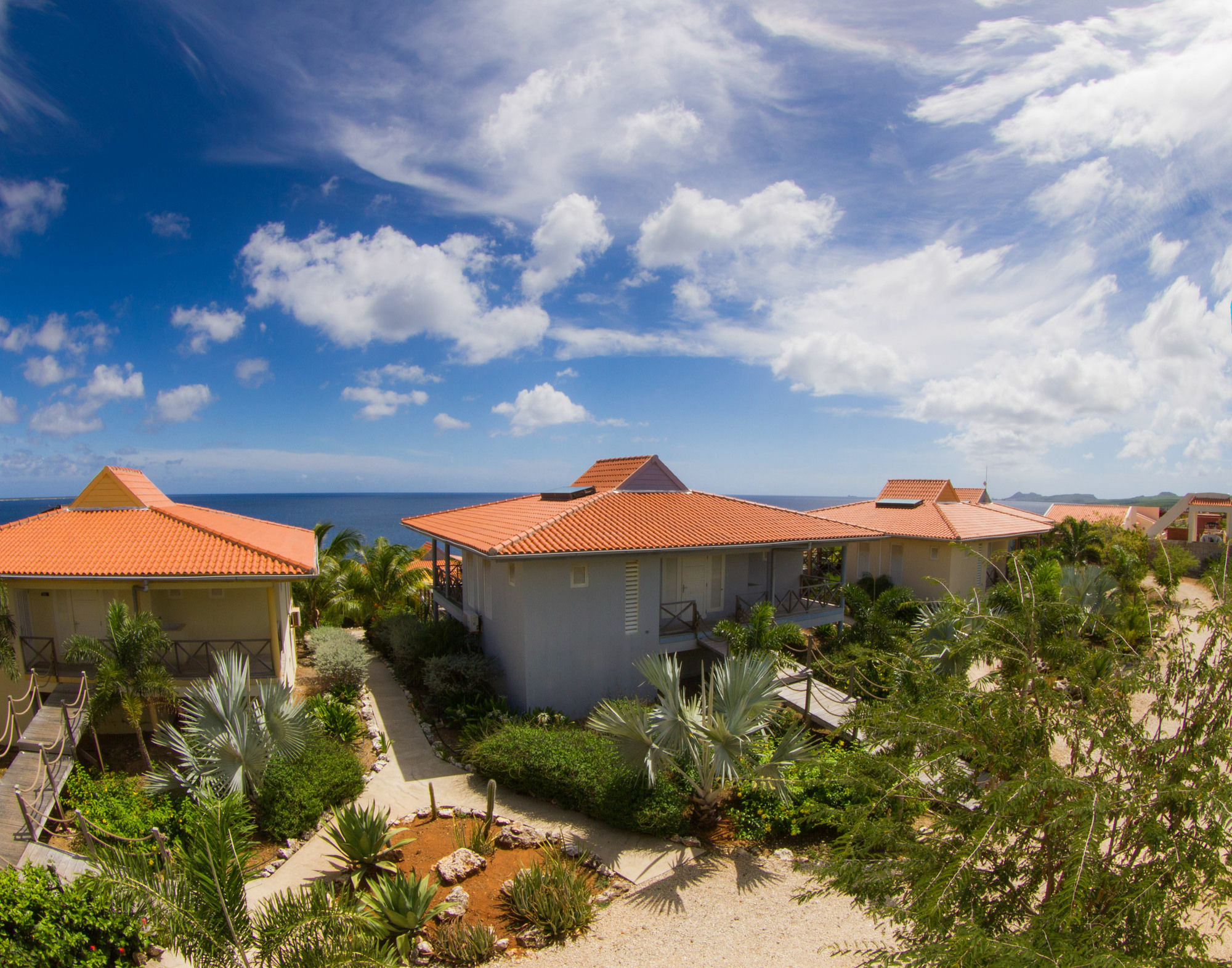 Caribbean Club Bonaire Lejlighedshotel Eksteriør billede